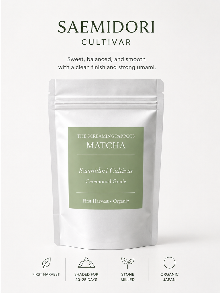 Wholesale Matcha by Cultivar | The Screaming Parrots Cafe